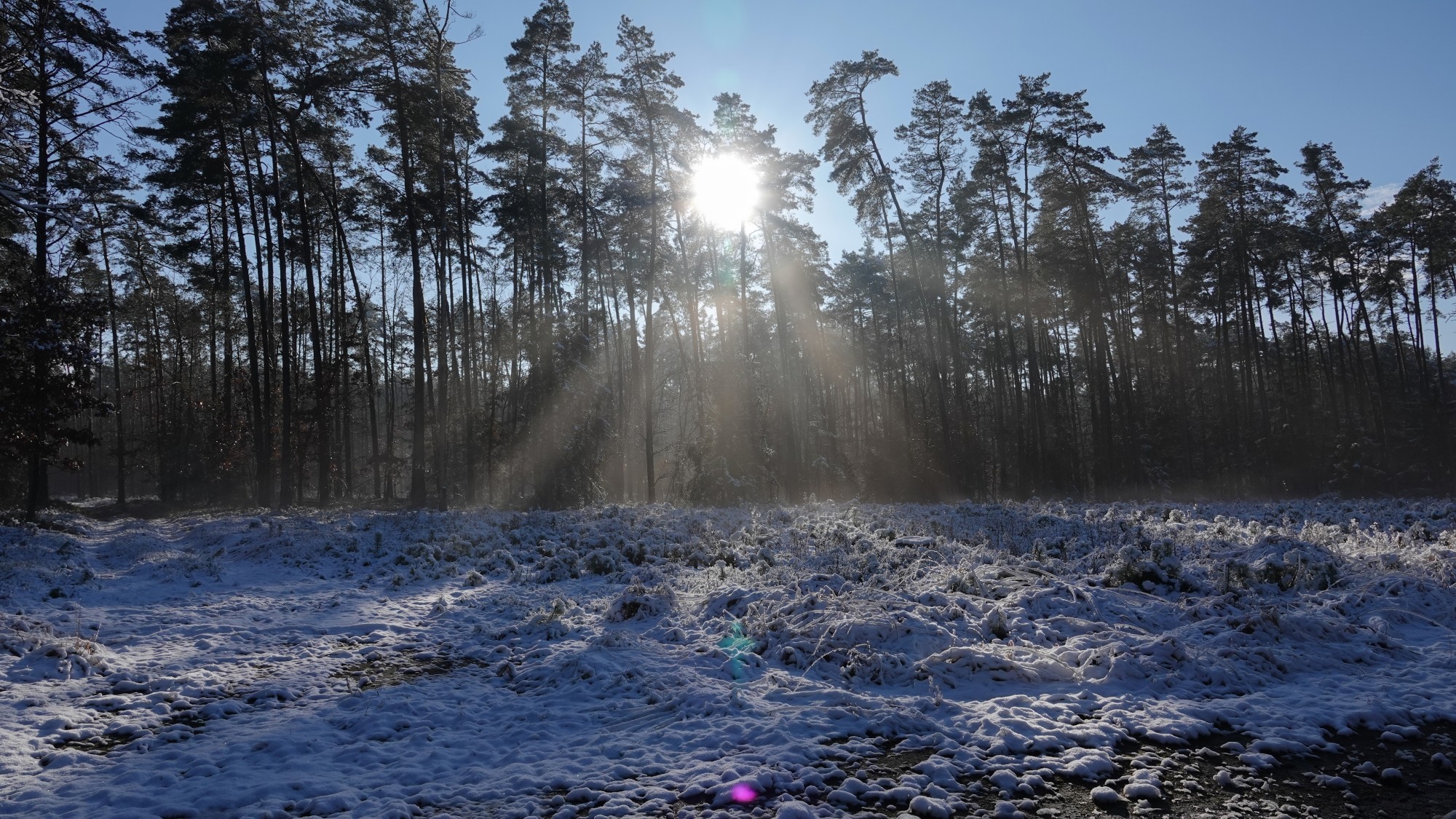 Oblicza zimy - zdjęcie 10