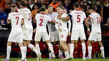 Wyszarpali remis! Polacy postawili się Holendrom