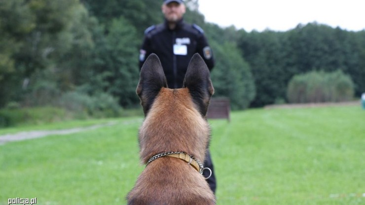 Mistrzostwa psów policyjnych. Wygrała ekipa z Wrocławia