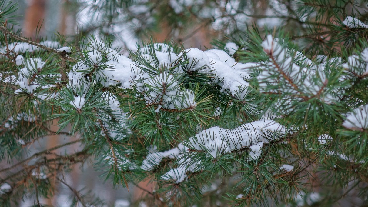 Styczeń w obiektywie - zdjęcie 56