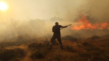 Europa w ogniu. Pożary trawią Włochy, Grecję, Portugalię i Hiszpanię