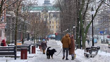 Terytorium za gwarancje? Ponad połowa Ukraińców jest zgodna