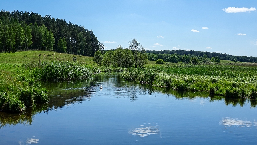 08.07.2019 11:00 Lubicie piękne widoki? Zobaczcie na zdjęciach wspaniałe krajobrazy czerwca w Polsce