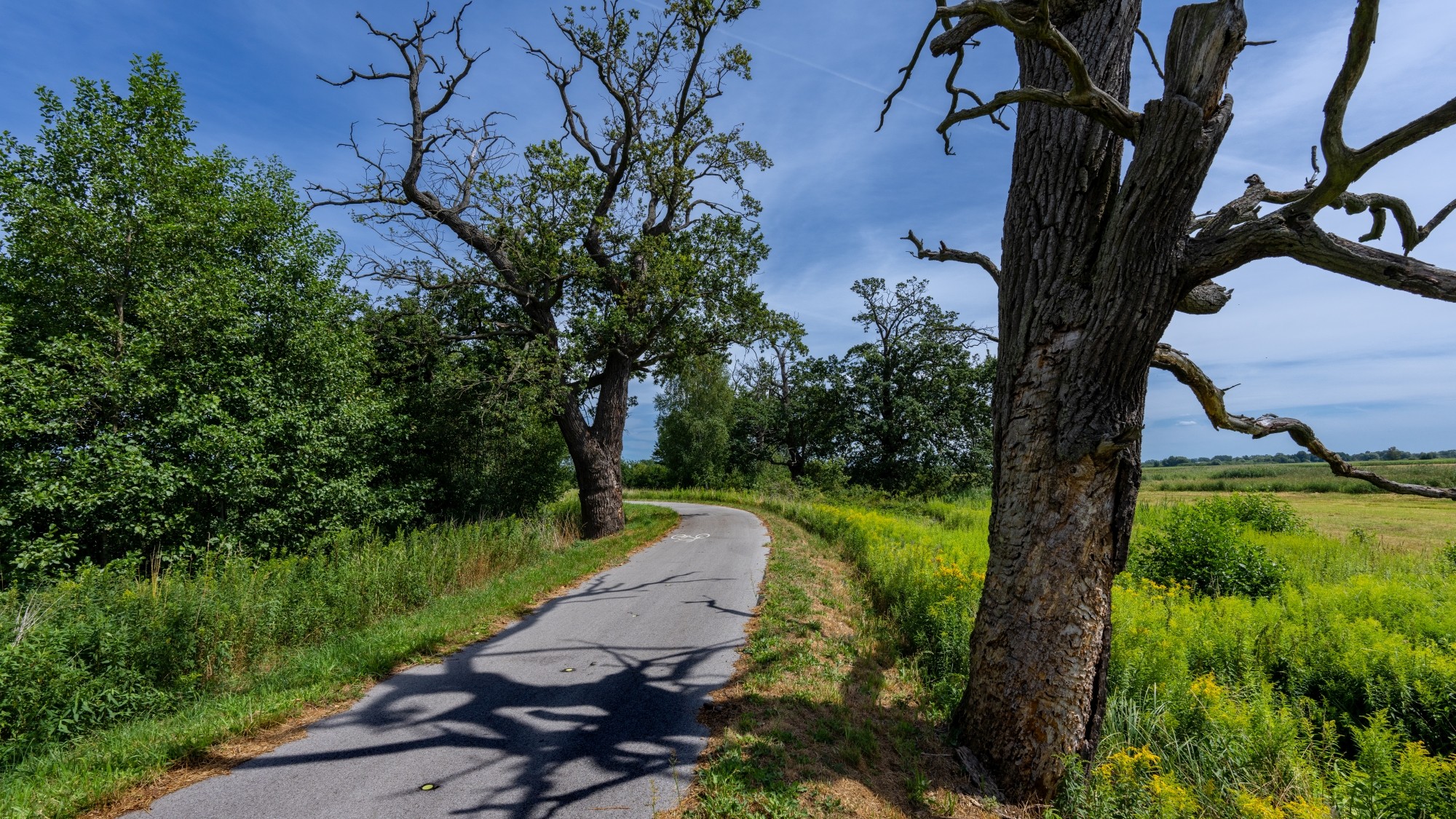 Kolory lata - zdjęcie 27