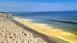 09-05-2024 05:56 Żółta woda w Bałtyku. Tym razem to nie sinice. Obawy o nadchodzące wakacje