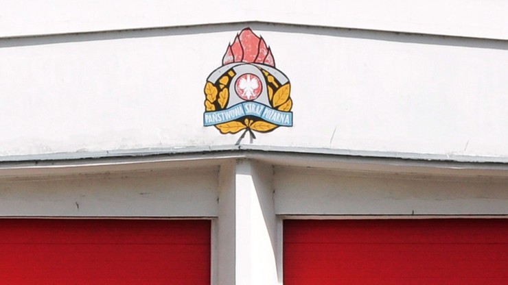 Państwowa straż pożarna ogłosiła konkurs na logo. Stare zbyt kolorowe i niezastrzeżone