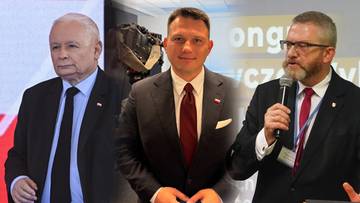 "Alternatywa dla brunatnej Polski". Senator zakłada nową partię