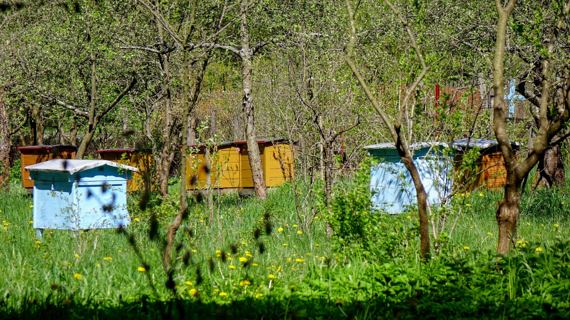 Mazury wiosną - zdjęcie 29