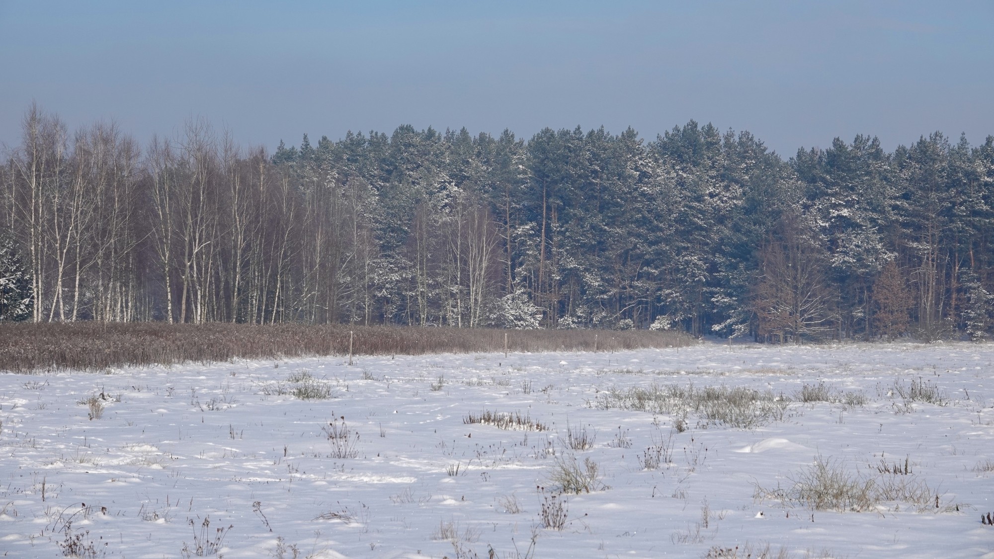 Na lodowym szlaku - zdjęcie 53