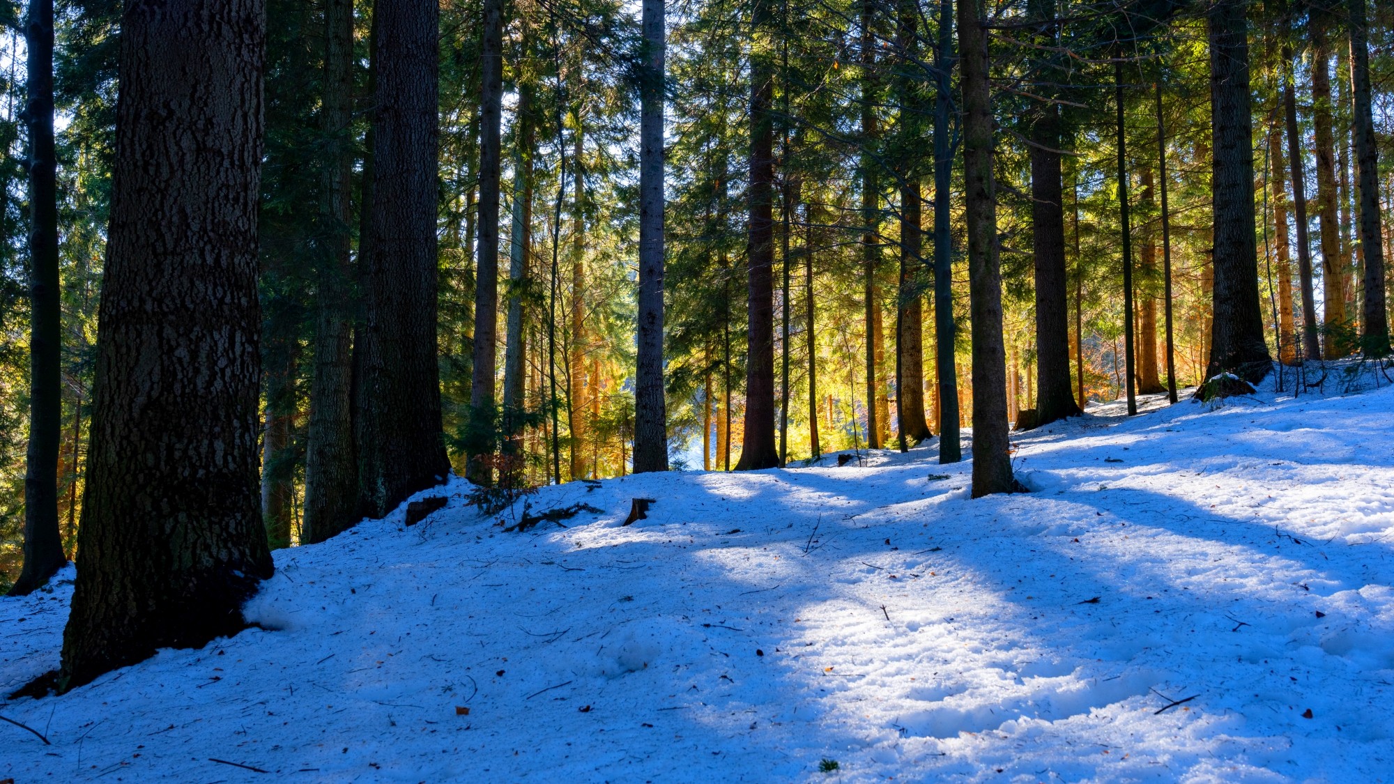 Zima w górach - zdjęcie 17