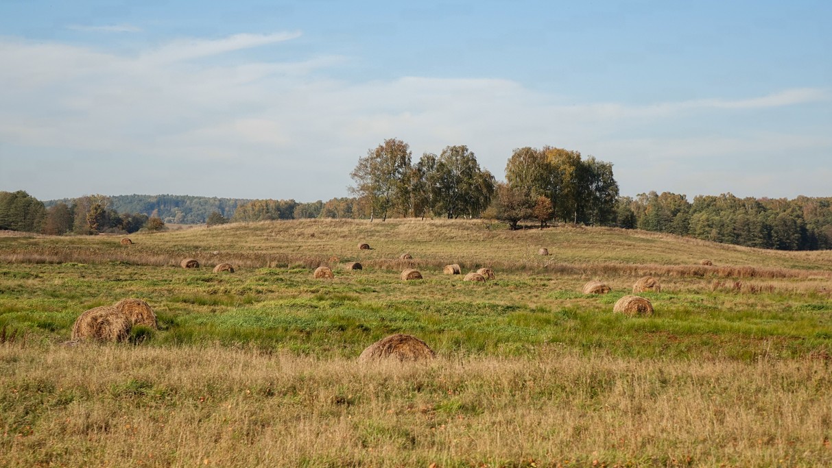 Jesienne krajobrazy za miastem - zdjęcie 48