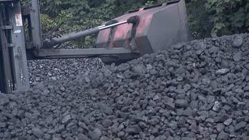 Afera węglowa z czasów Morawieckiego. Kierwiński: My tych odpowiedzialnych znajdziemy