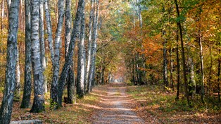 04.11.2019 00:00 Październik w obiektywie