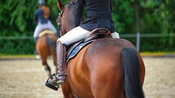 Dwie osoby siedzące na koniach, jedna z nich bliżej widza, obie w strojach jeździeckich.