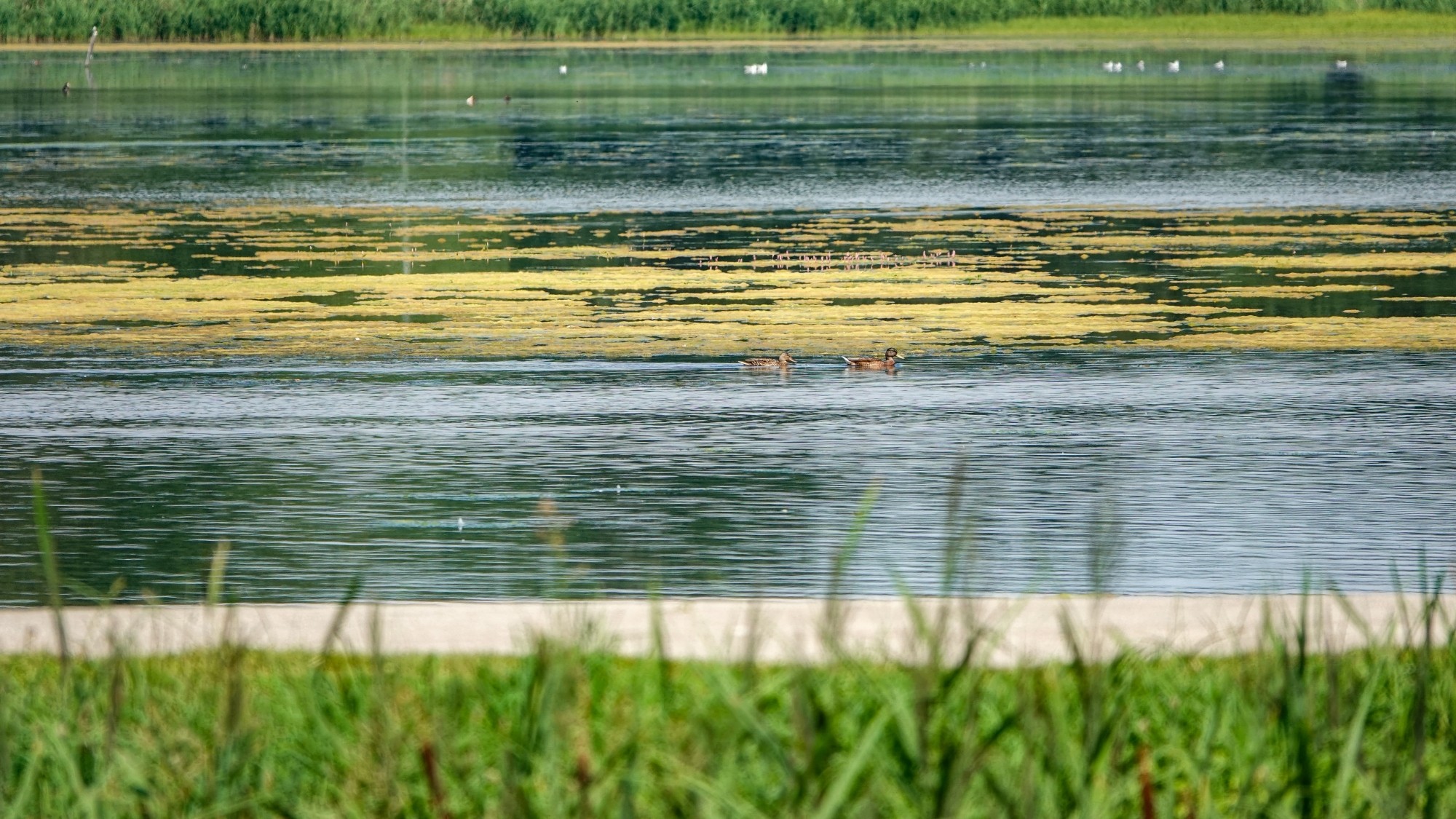 Podróż przez polską prowincję - zdjęcie 45