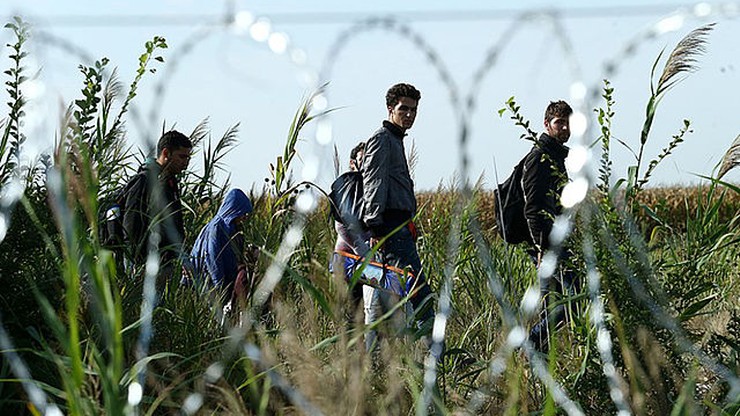 Więzili migrantów, żeby wyegzekwować "należność" za ich przerzut