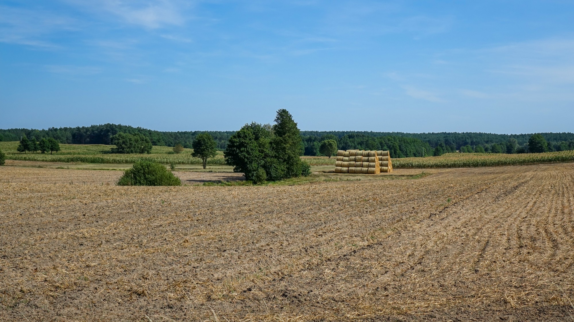 Sierpień w obiektywie - zdjęcie 40