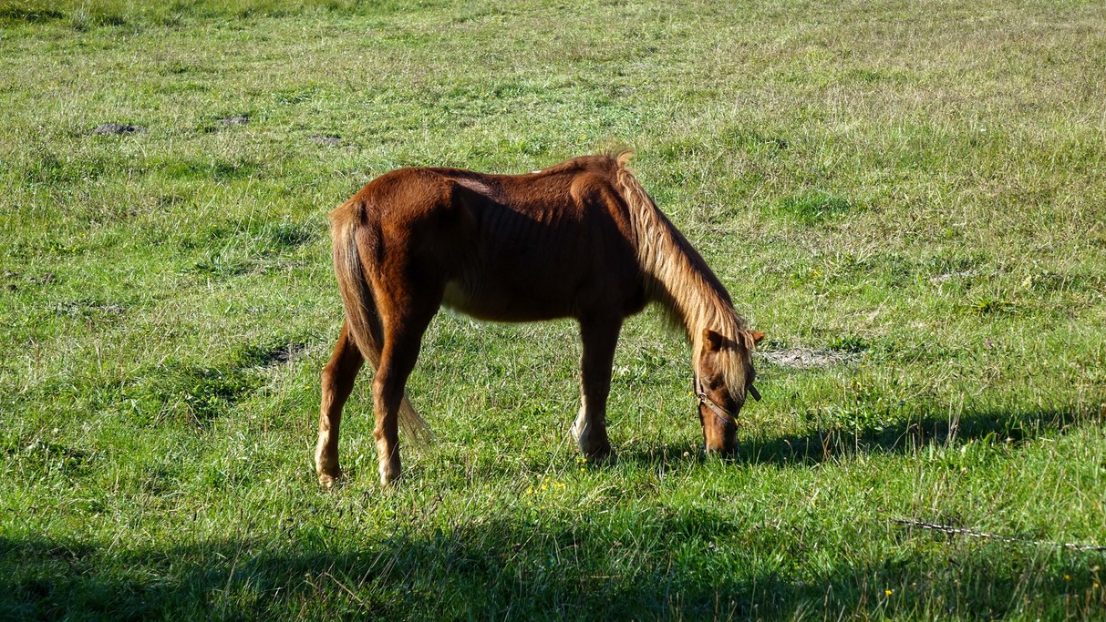 Podróż przez jesienną Polskę - zdjęcie 12
