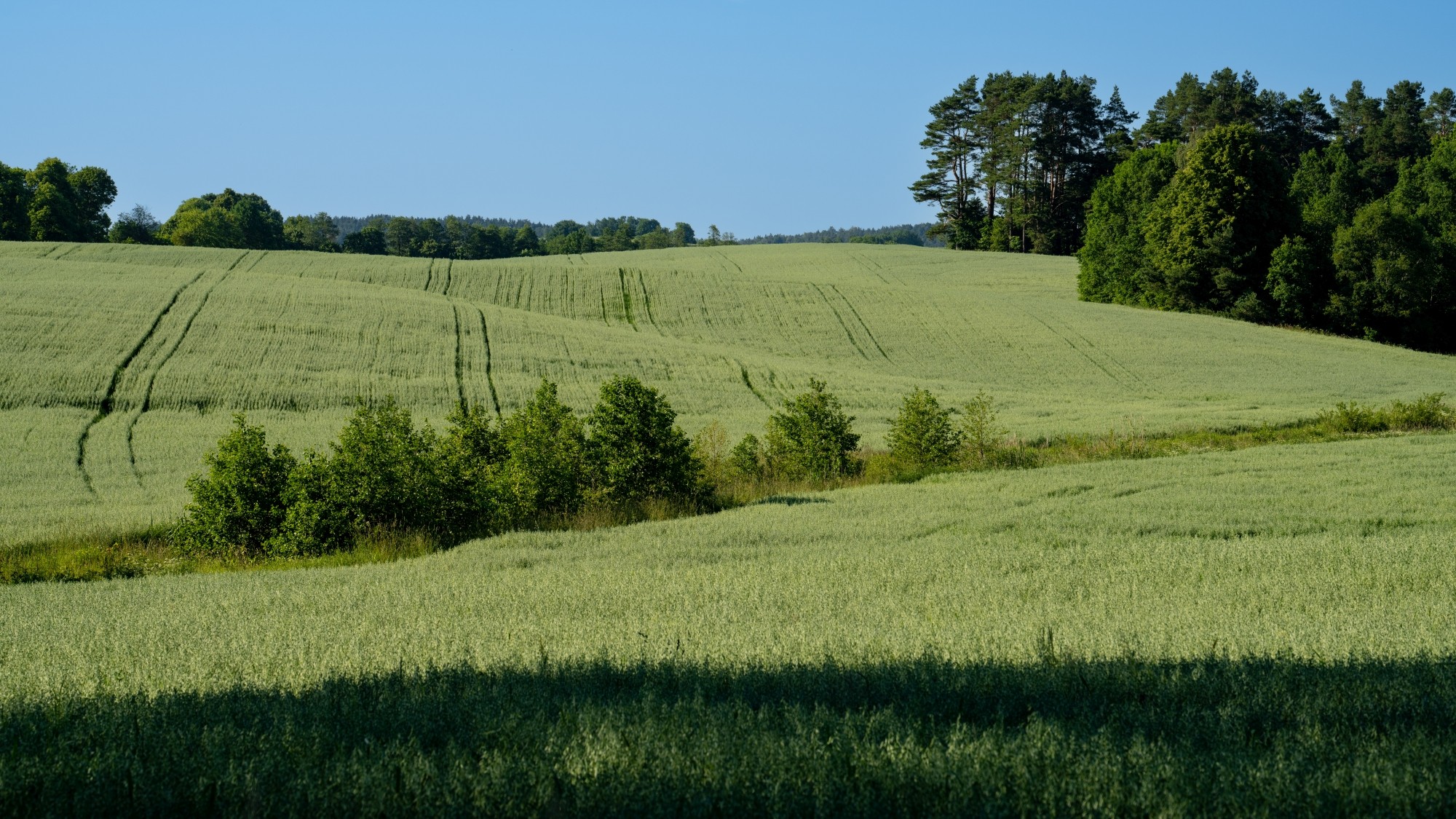 Kolory lata - zdjęcie 52