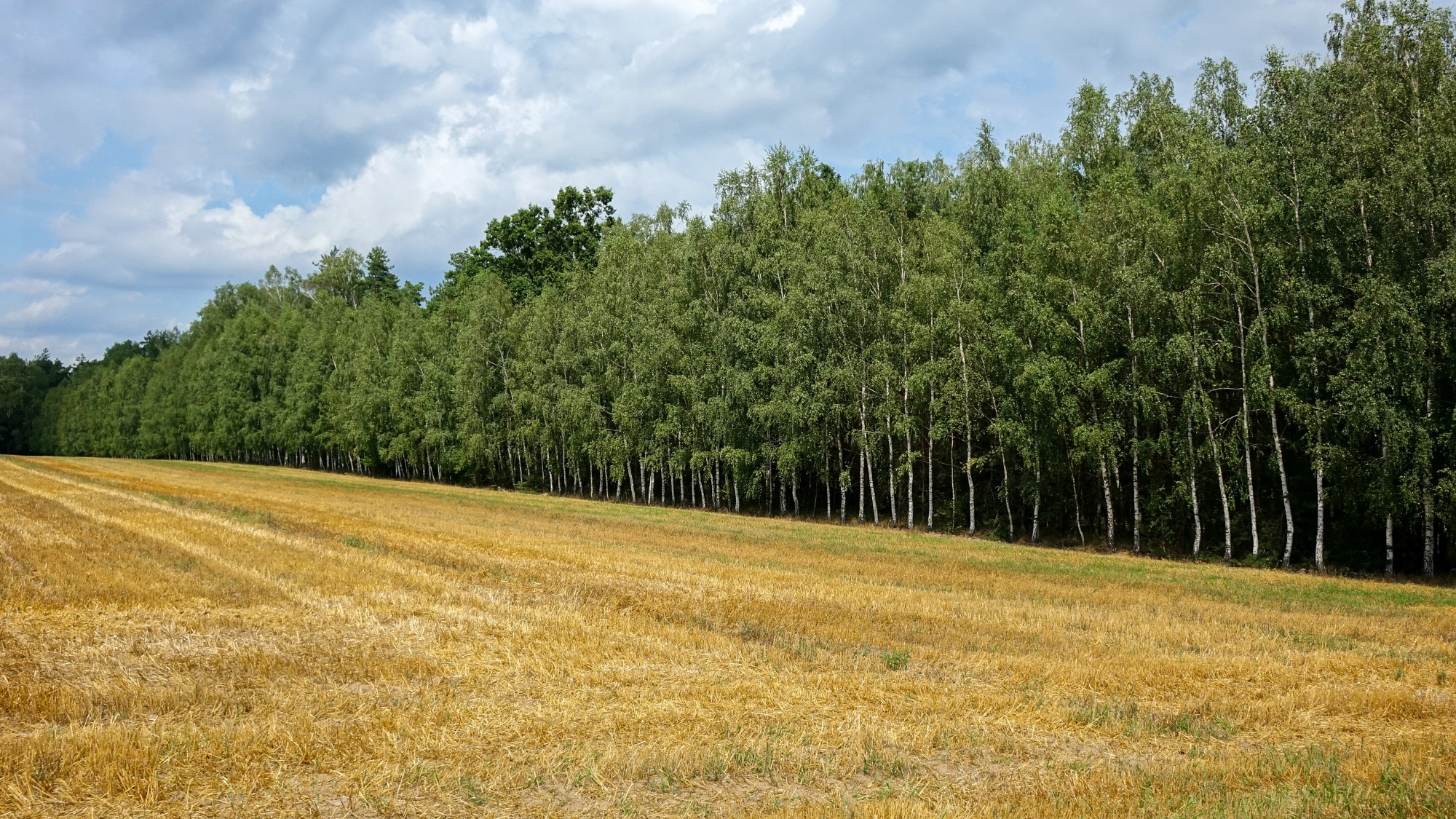 Sierpień w obiektywie - zdjęcie 35