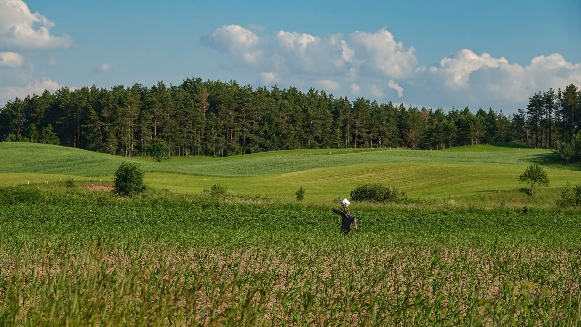 Letnie klimaty na łonie natury - zdjęcie 47