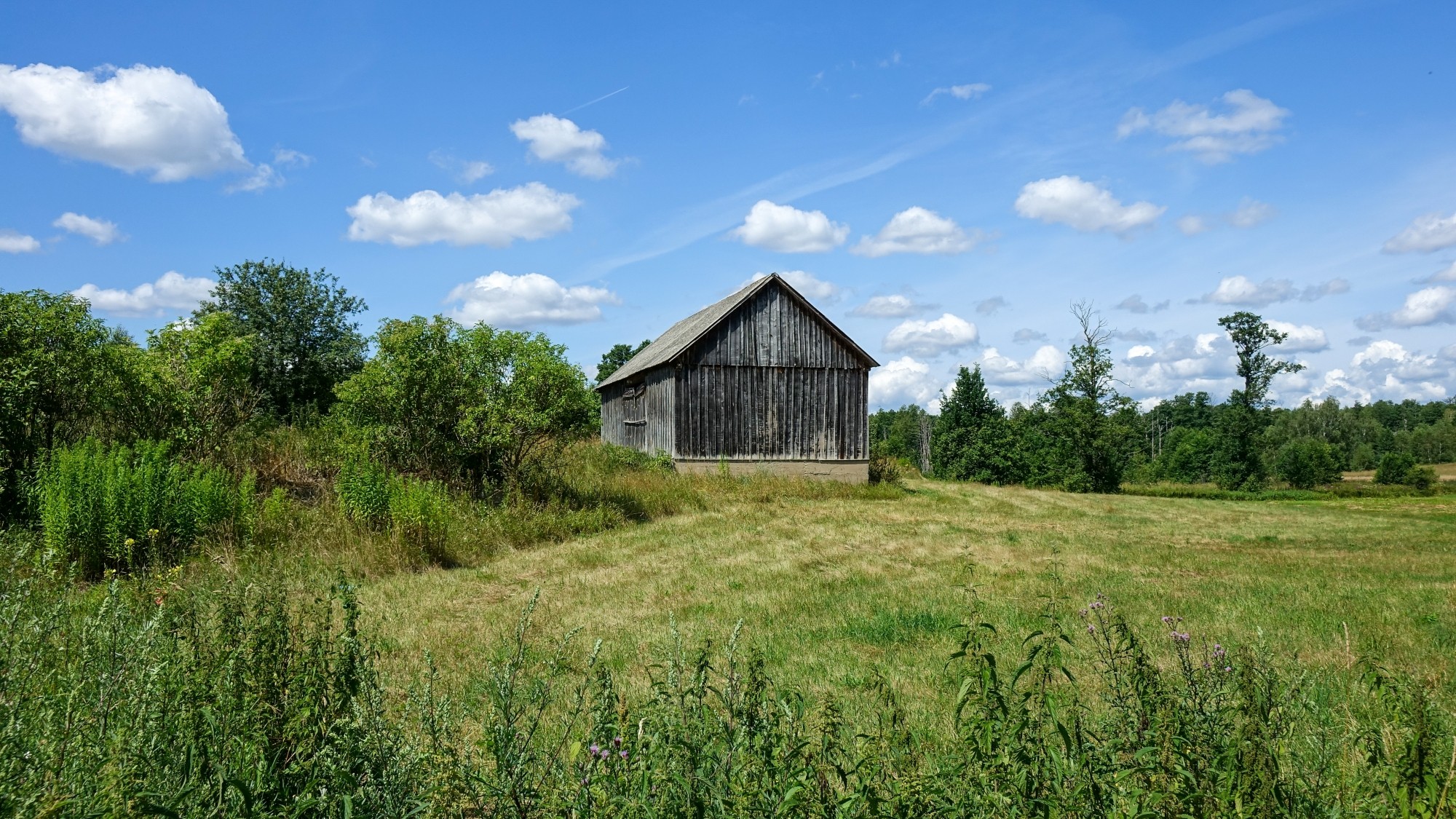 Lipiec w obiektywie - zdjęcie 43