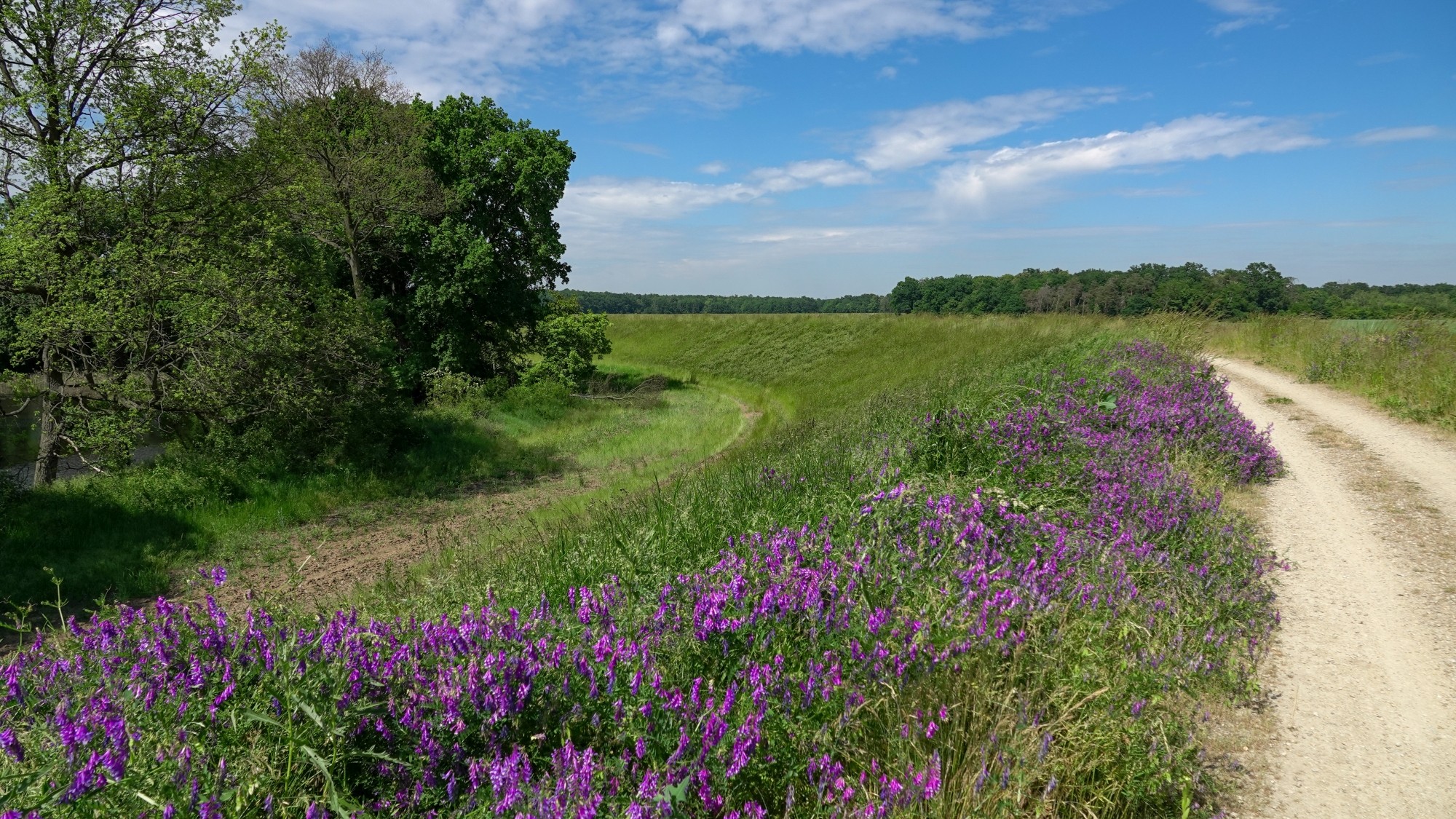 Lato w plenerze - zdjęcie 37