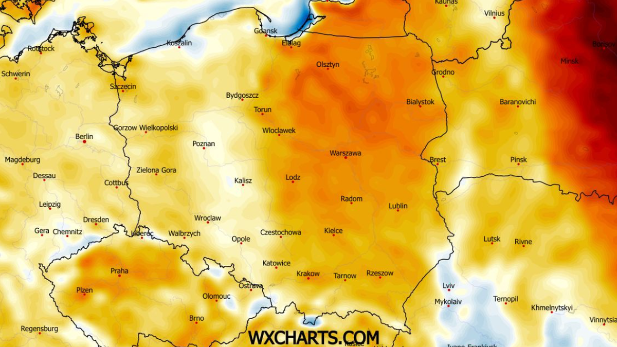 W drugiej połowie tygodnia w wielu miejscach zrobi się cieplej niż na jego początku