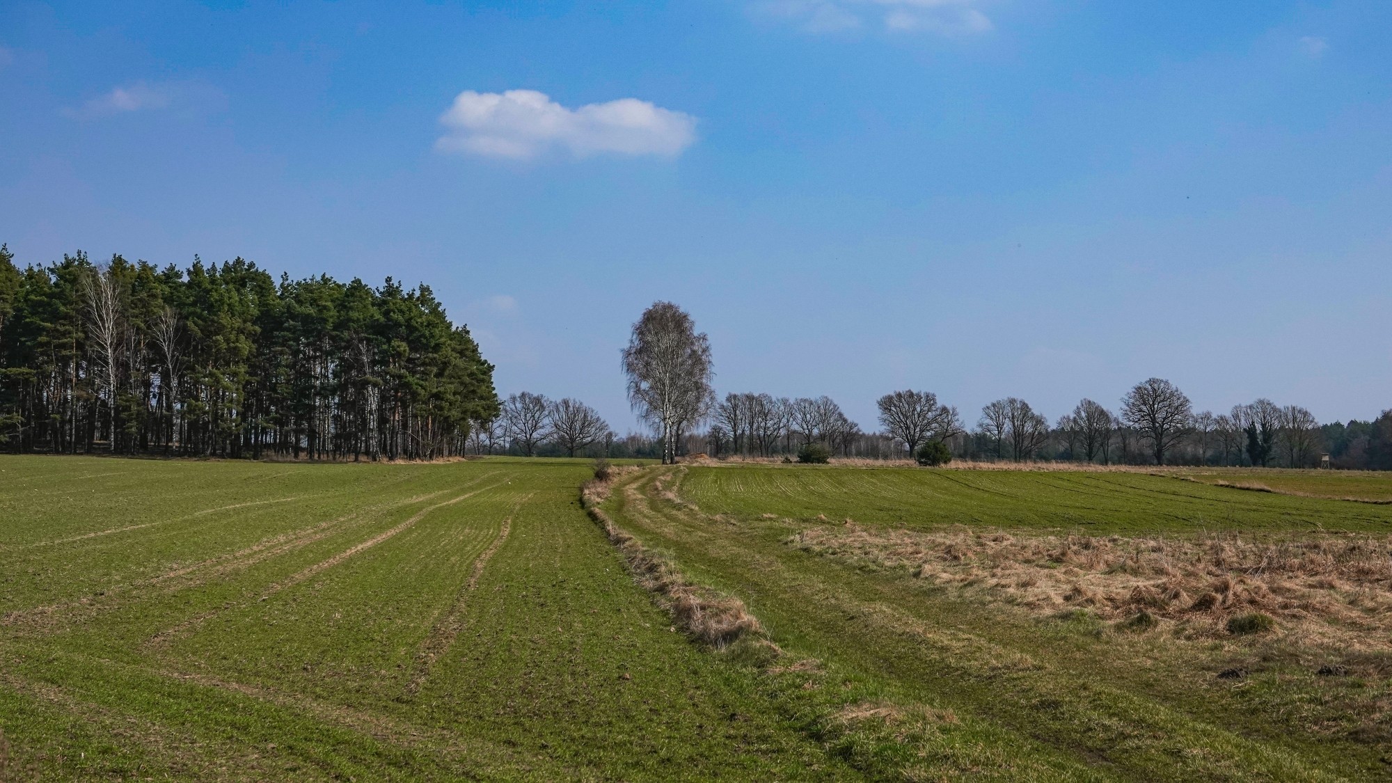 Wiosenna pobudka - zdjęcie 29