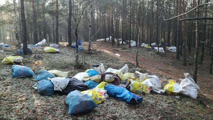 Worki ze śmieciami porzucone w lesie. "Przykry widok"