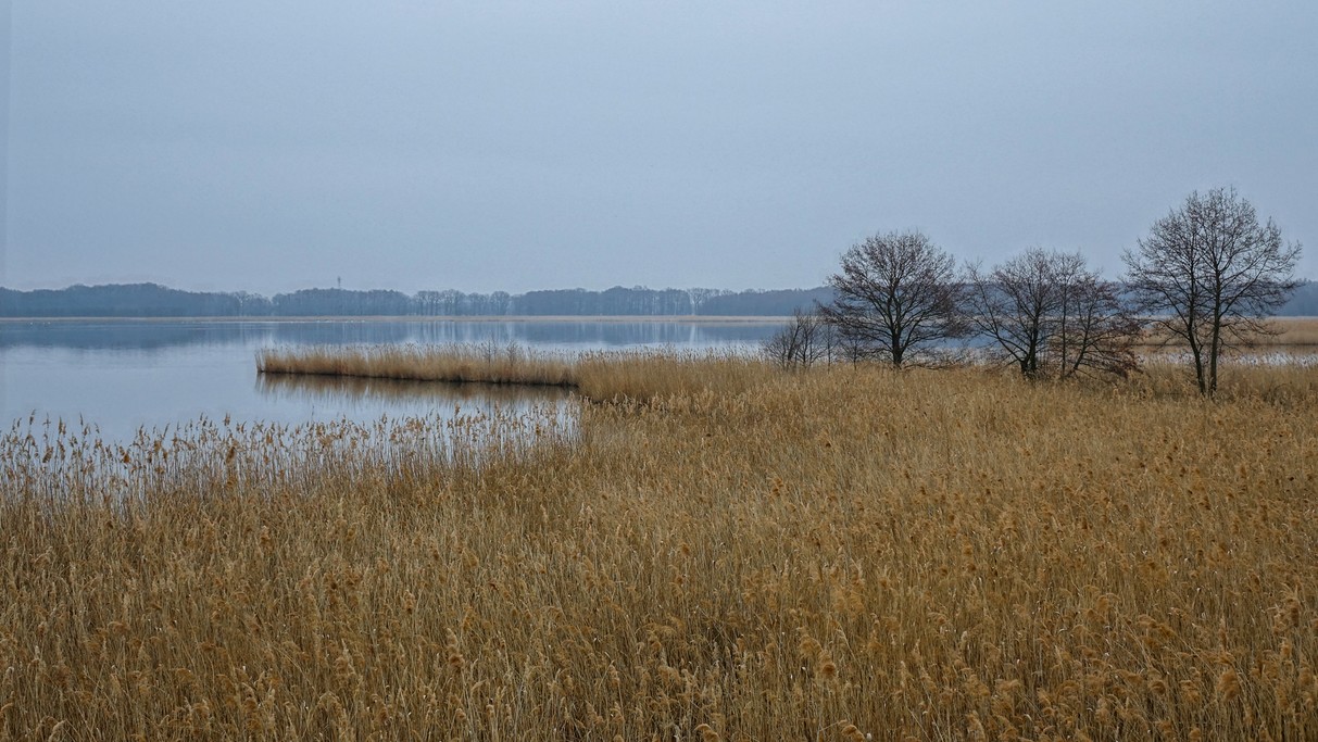 Marzec w obiektywie - zdjęcie 57