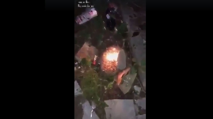 "Oj, chyba jeżyki się palą". Bestialstwo gimnazjalistek. Znęcały się nad jeżem - PolsatNews.pl