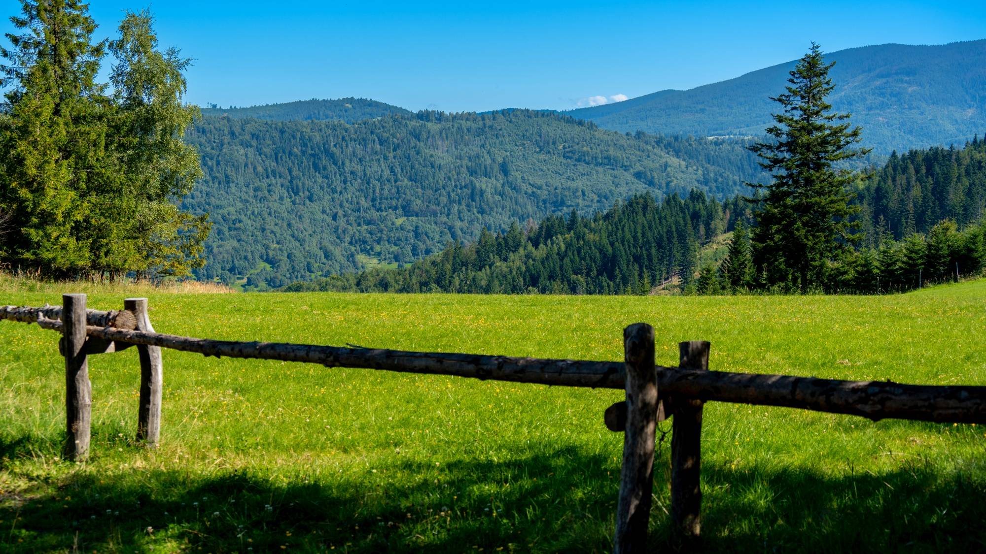 Kolory lata - zdjęcie 15