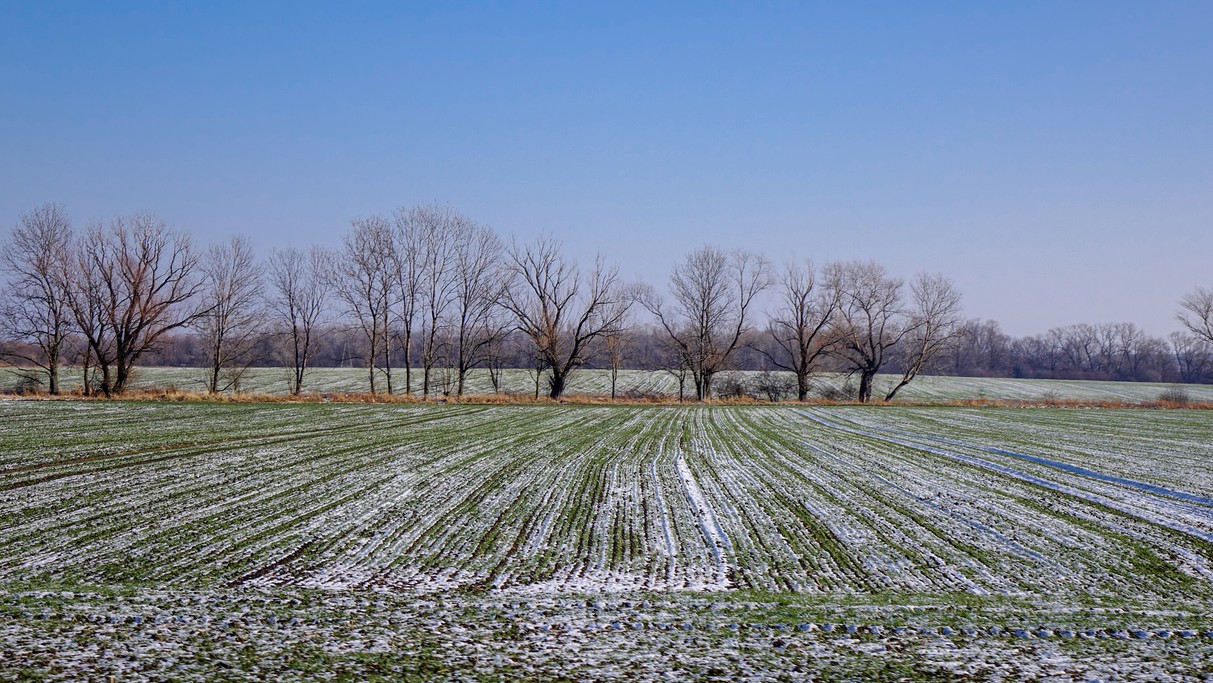 Luty w obiektywie - zdjęcie 41