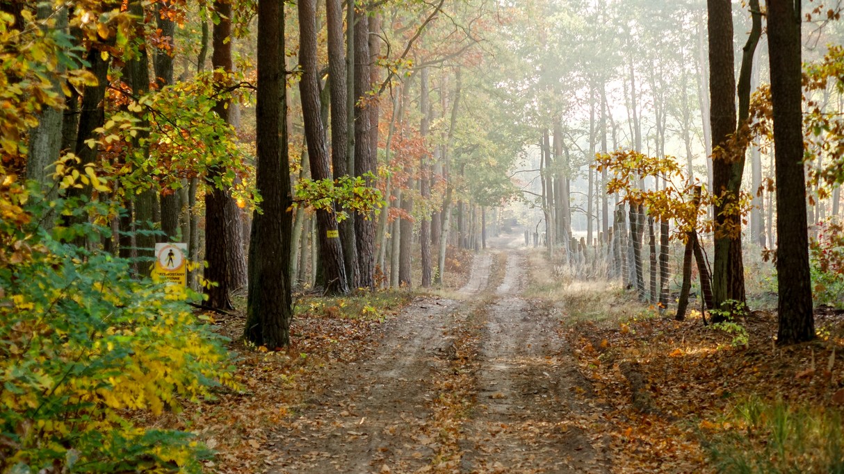 Jesienne klimaty - zdjęcie 28