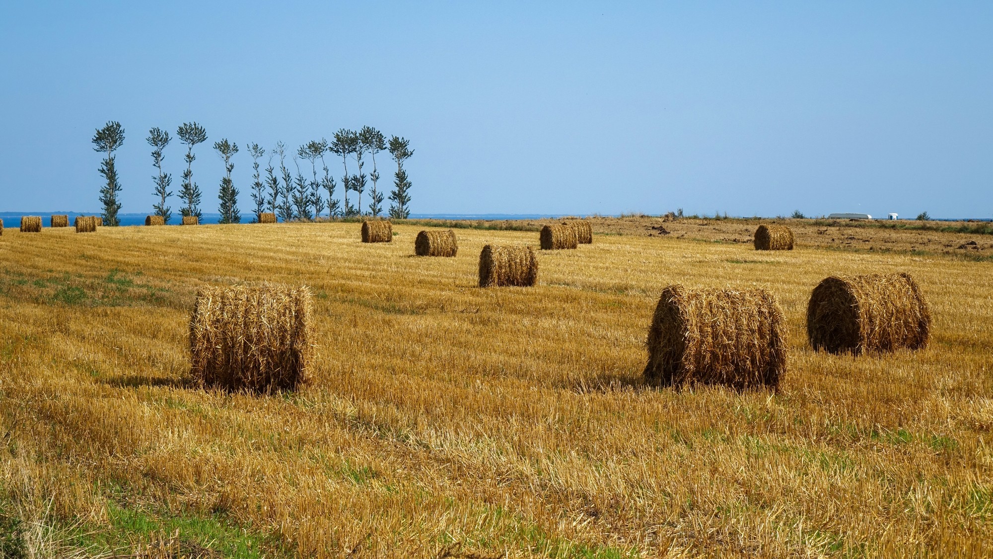 Wakacyjne podróże - zdjęcie 29