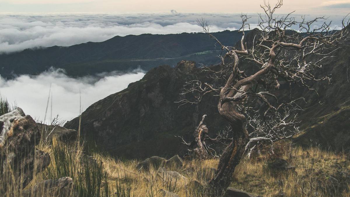 Śmierć 31-letniego Polaka na Maderze. Policja przekazała nowe informacje