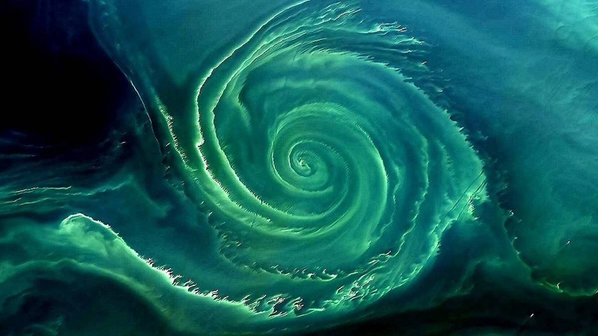 Zdjęcie satelitarne tajemniczego wiru w wodach Morza Bałtyckiego. Fot. NASA.