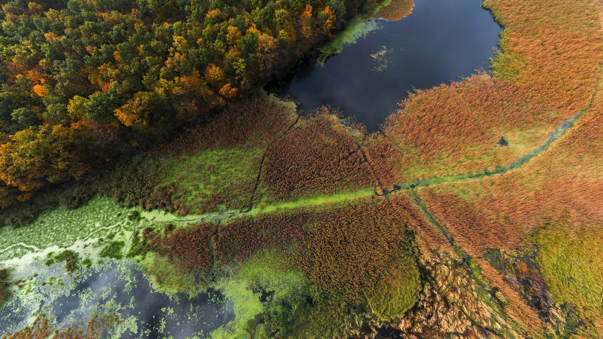 Jesień w Polsce z lotu ptaka - zdjęcie 16