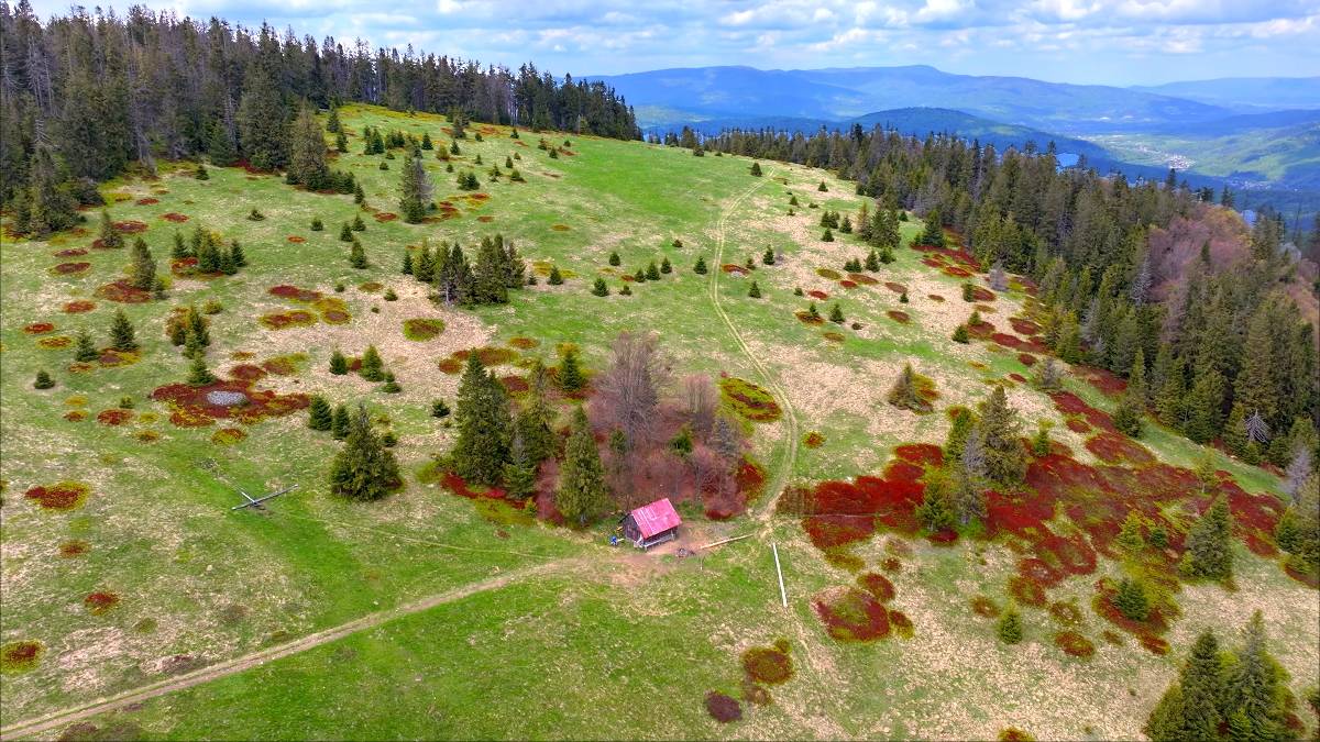 Widok na Halę Muńcuł i panoramę Beskidów.