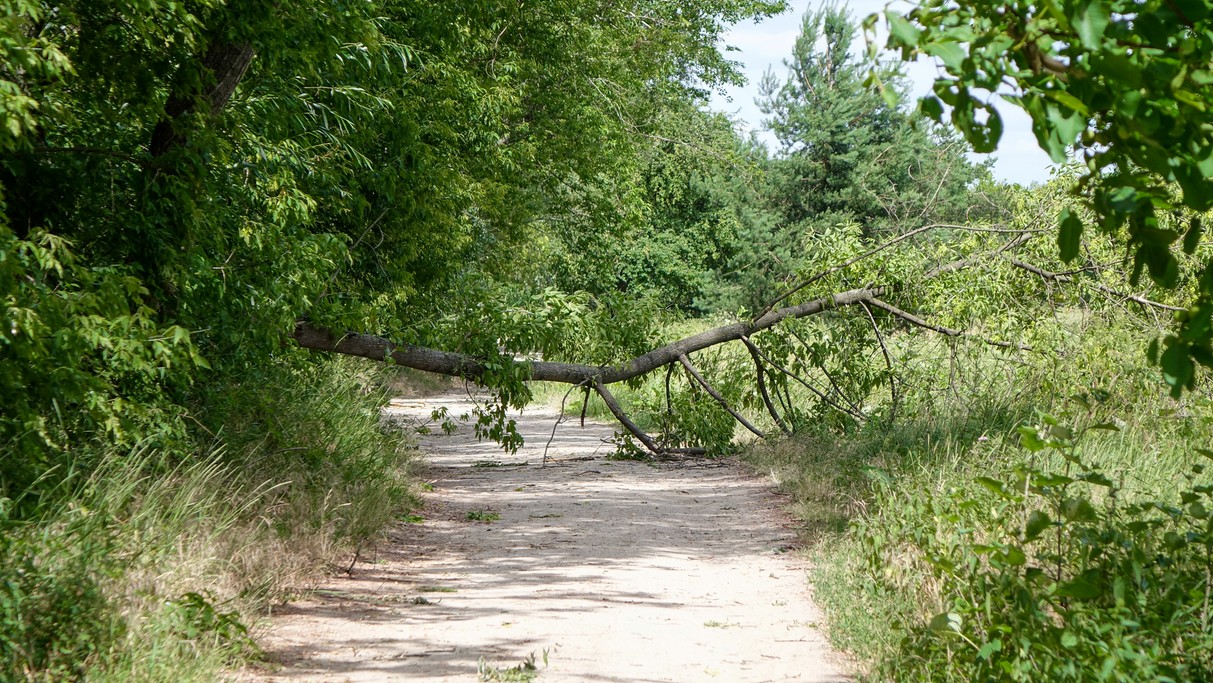 Czerwiec w obiektywie - zdjęcie 21