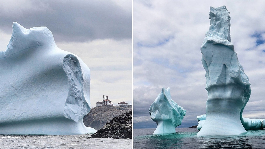 Góry lodowe u wybrzeży Kanady. Fot. Twitter / Mark Grey.