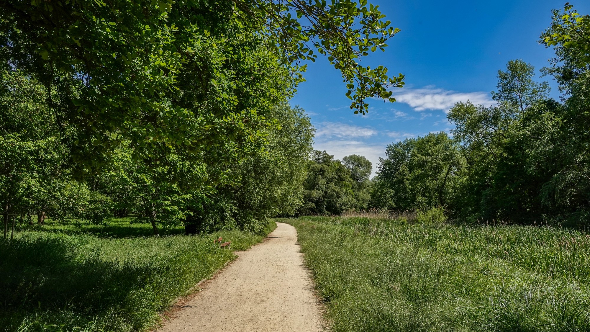 100 najpiękniejszych zdjęć 2020 roku - zdjęcie 63