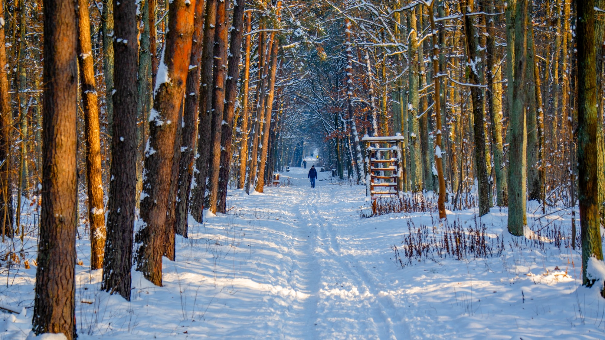 Różne oblicza zimy - zdjęcie 10