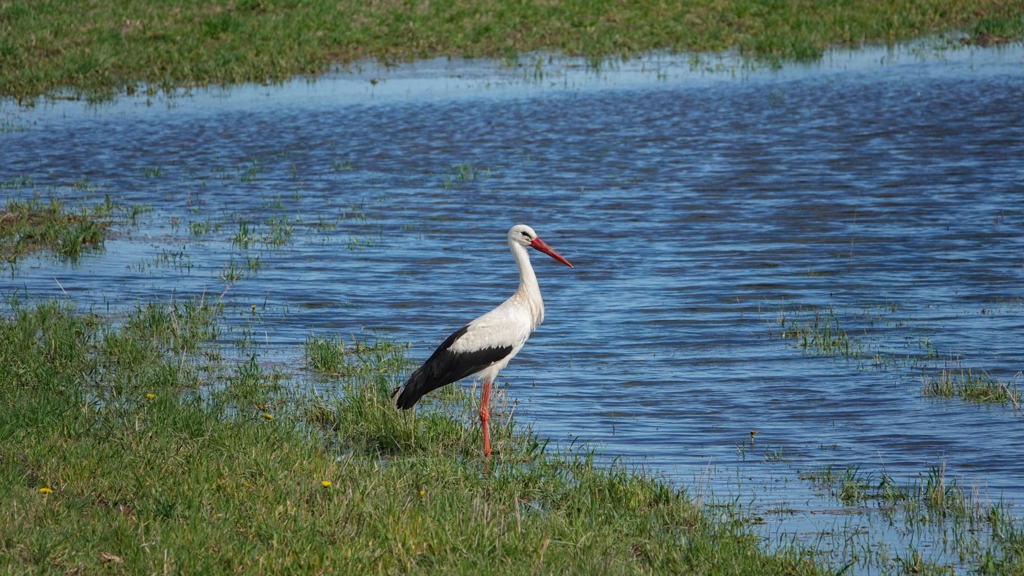 W maju jak w raju - zdjęcie 5