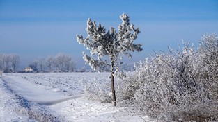 02.03.2021 11:00 Od czwartku wraca zima. Spadnie nawet 10 cm śniegu, a temperatura sięgnie minus 15 stopni