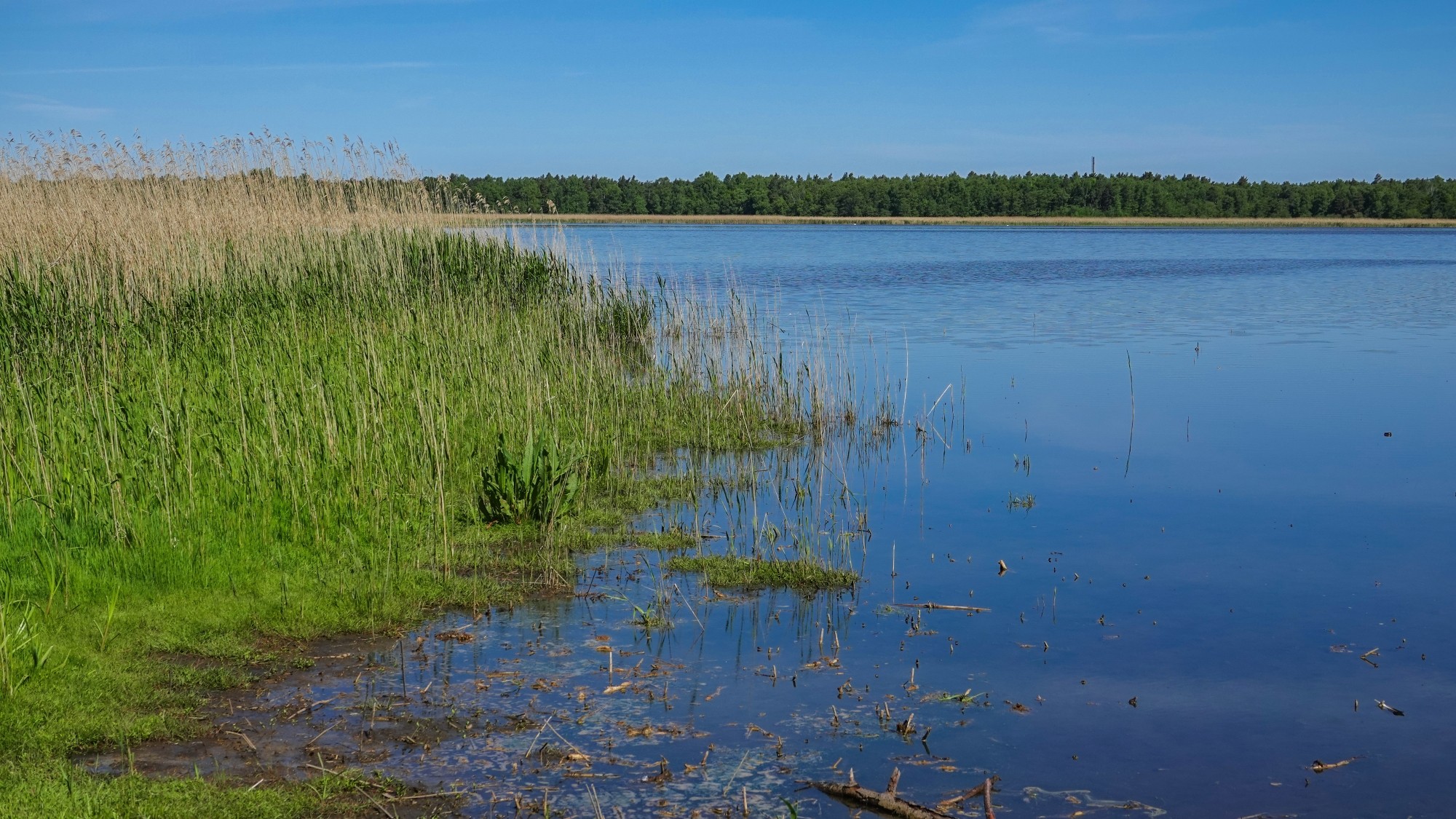 Wakacyjne podróże - zdjęcie 50