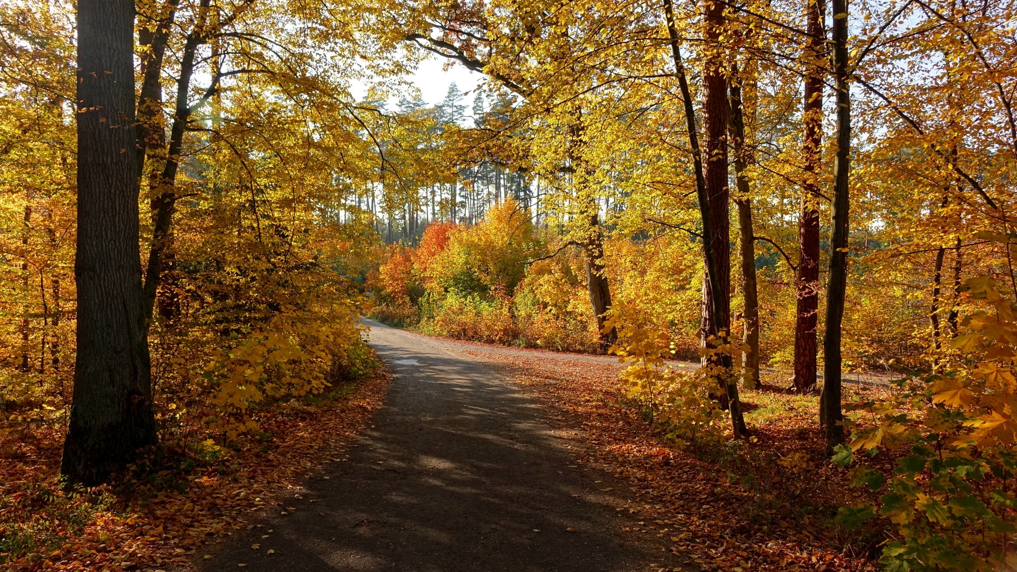 Jesień w górach, lasach i nad jeziorami - zdjęcie 25