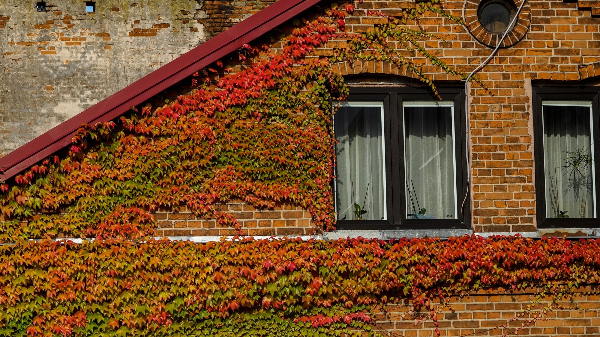 Wszystkie barwy jesieni - zdjęcie 38