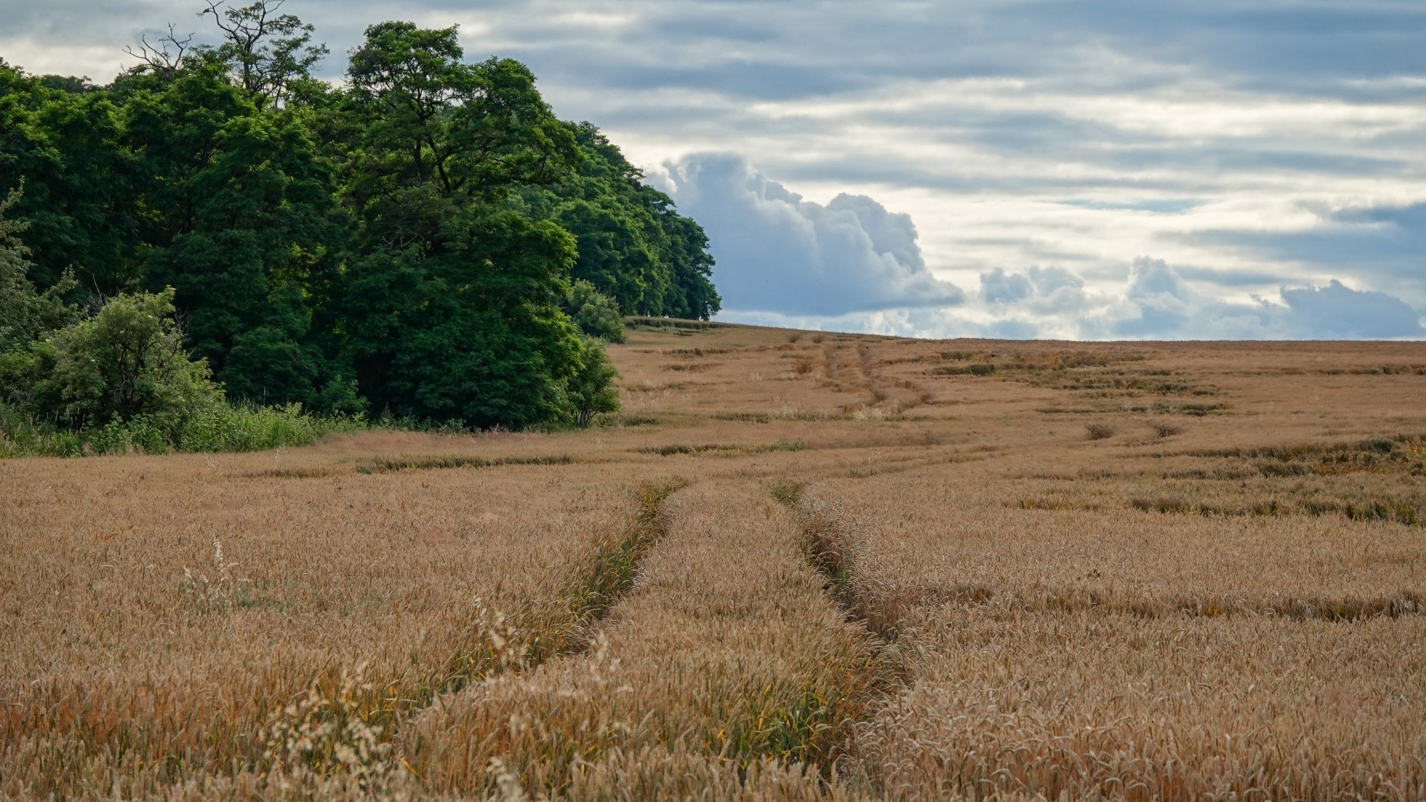 Środek lata w plenerze - zdjęcie 45